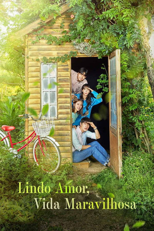 Assistir Lindo Amor, Vida Maravilhosa