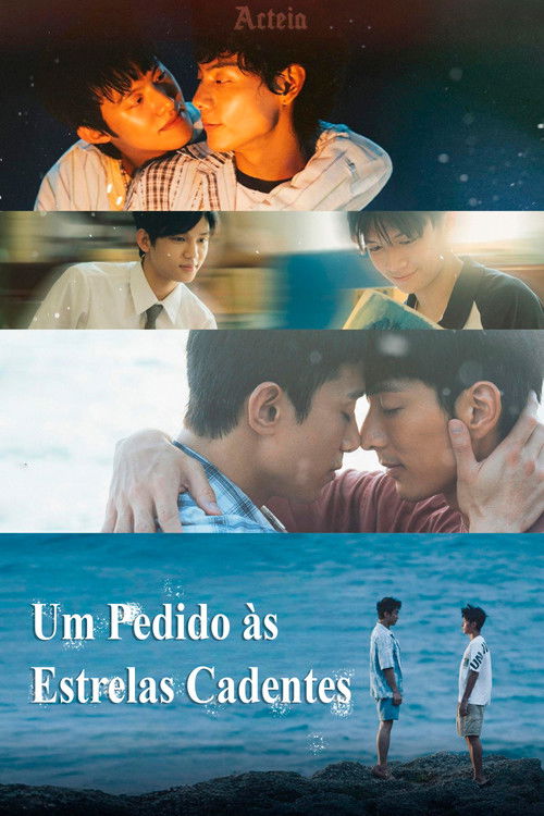 Assistir Um Pedido às Estrelas Cadentes