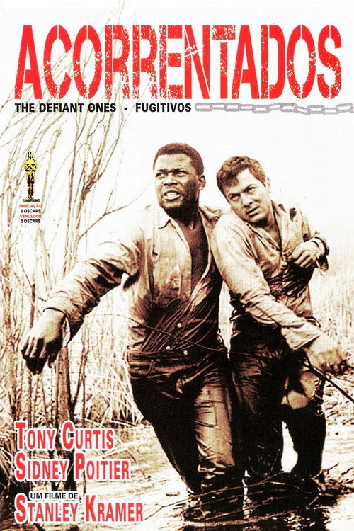Assistir Acorrentados