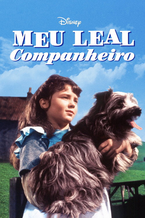 Assistir Meu Leal Companheiro