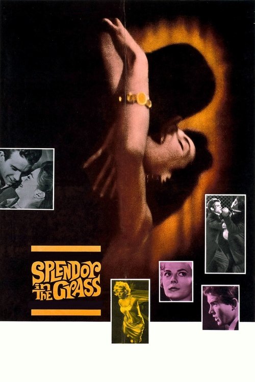 Assistir Clamor do Sexo