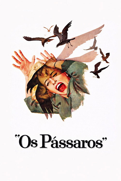 Assistir Os Pássaros