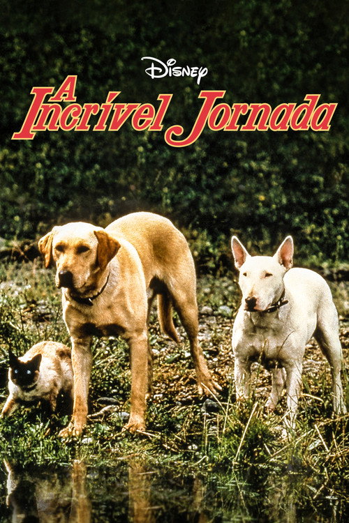 Assistir A Incrível Jornada