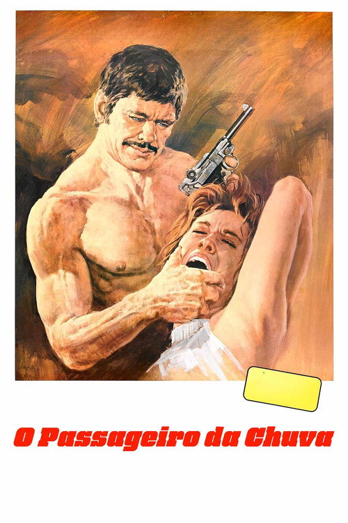 Assistir O Passageiro da Chuva