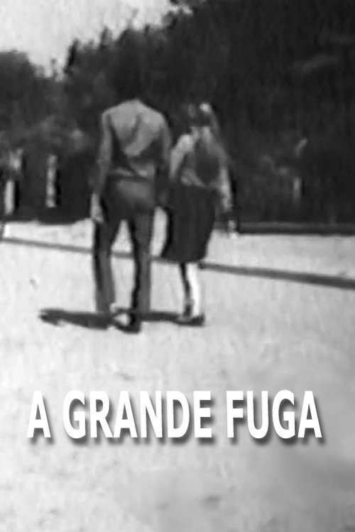 Assistir A Grande Fuga