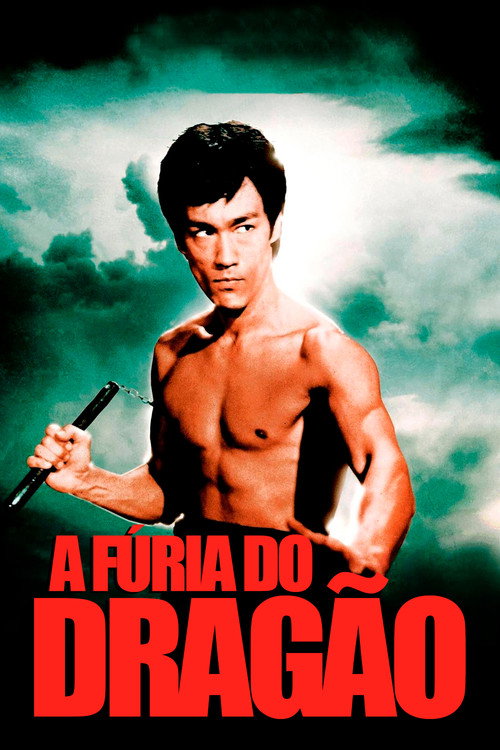 Assistir A Fúria do Dragão