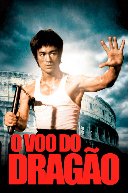 Assistir O Voo do Dragão