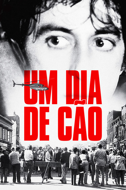 Assistir Um Dia de Cão