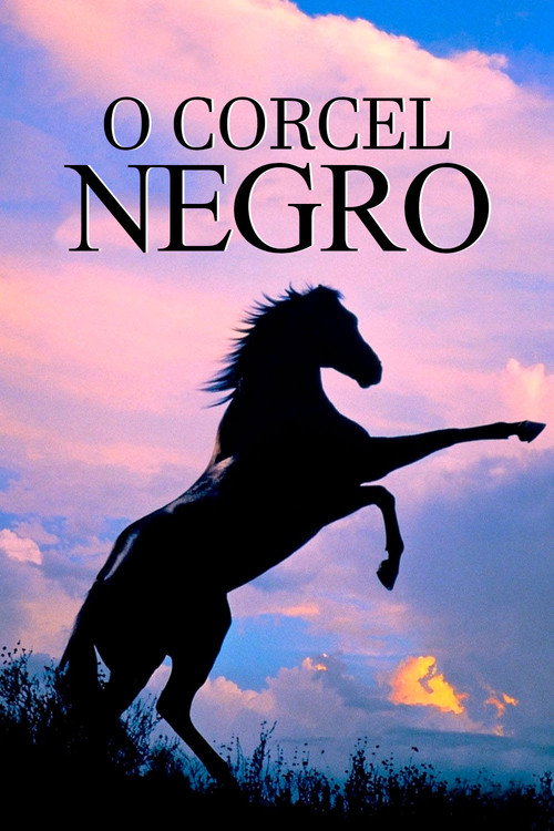 Assistir O Corcel Negro