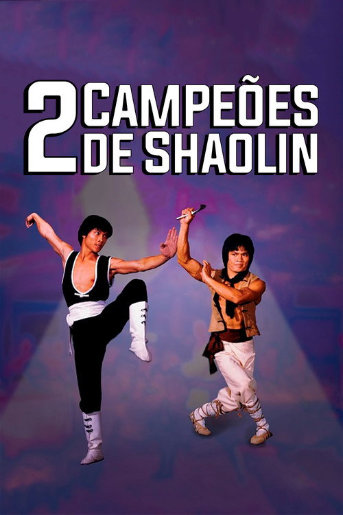Assistir 2 Campeões de Shaolin