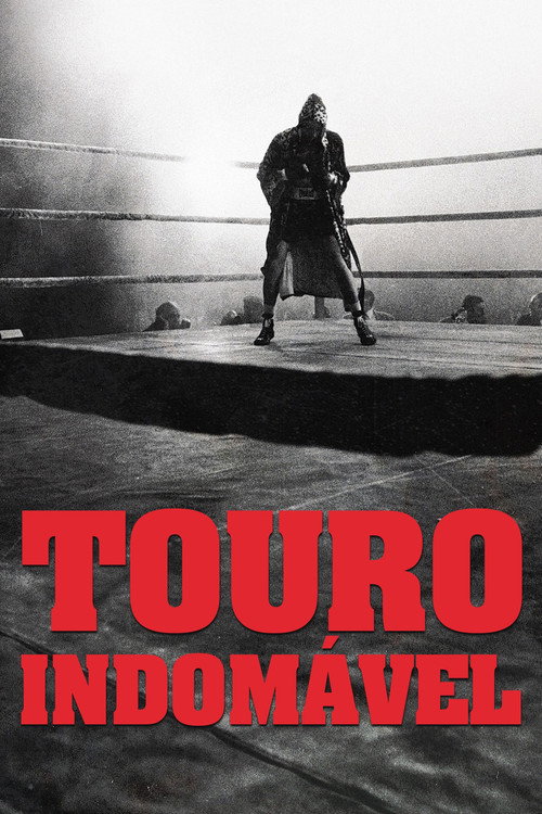 Assistir Touro Indomável