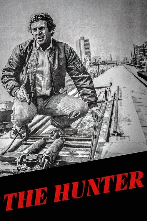 Assistir Caçador Implacável
