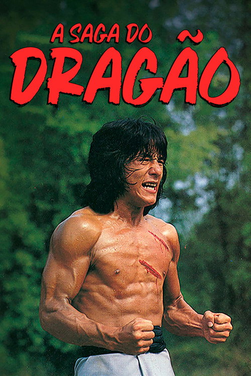 Assistir A Saga do Dragão