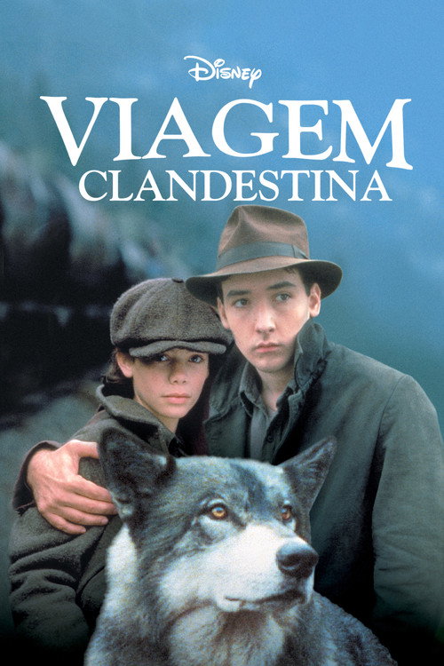 Assistir Viagem Clandestina