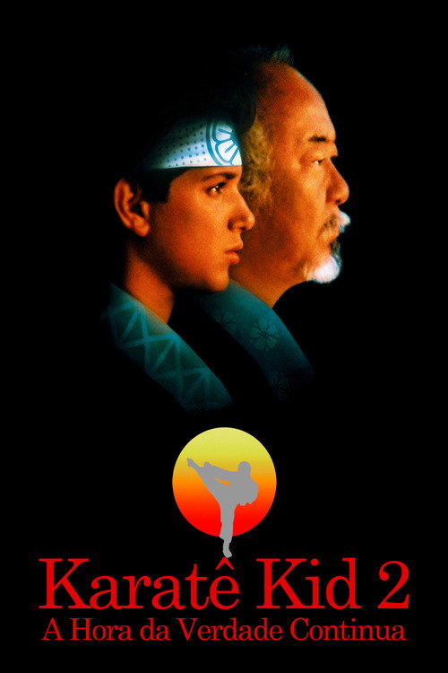 Assistir Karatê Kid 2: A Hora da Verdade Continua