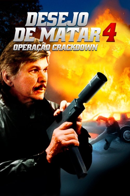 Assistir Desejo de Matar 4: Operação Crackdown