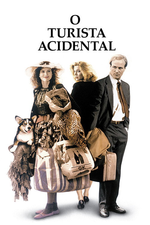 Assistir O Turista Acidental