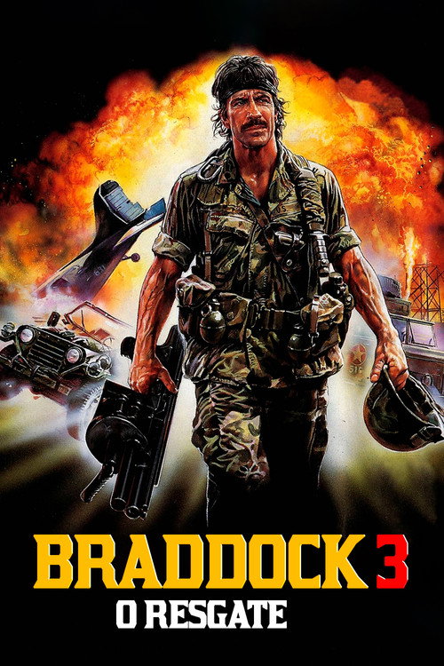 Assistir Braddock 3: O Resgate