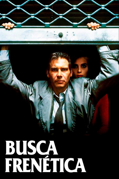 Assistir Busca Frenética