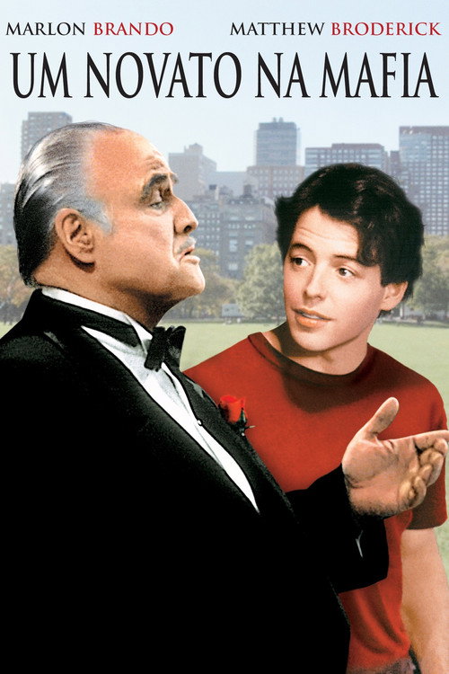 Assistir Um Novato Na Mafia