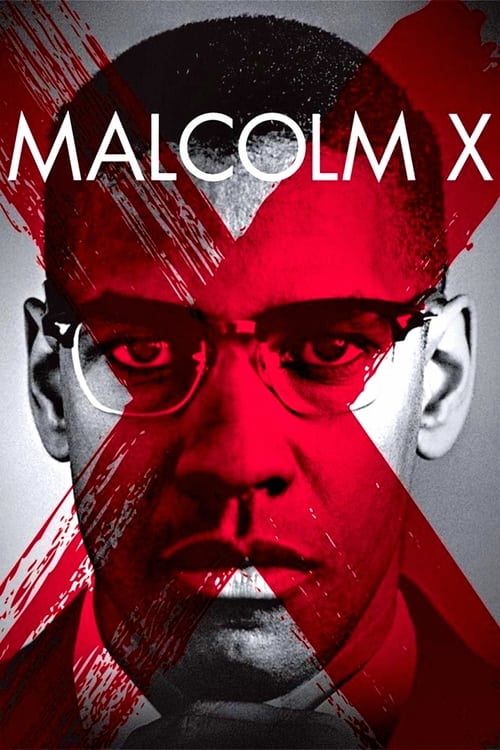 Assistir Malcolm X