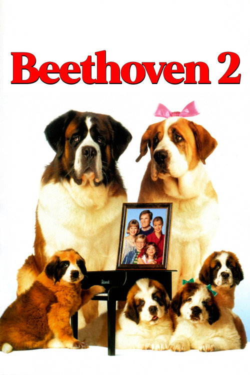 Assistir Beethoven 2