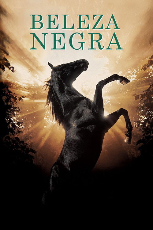 Assistir Beleza Negra
