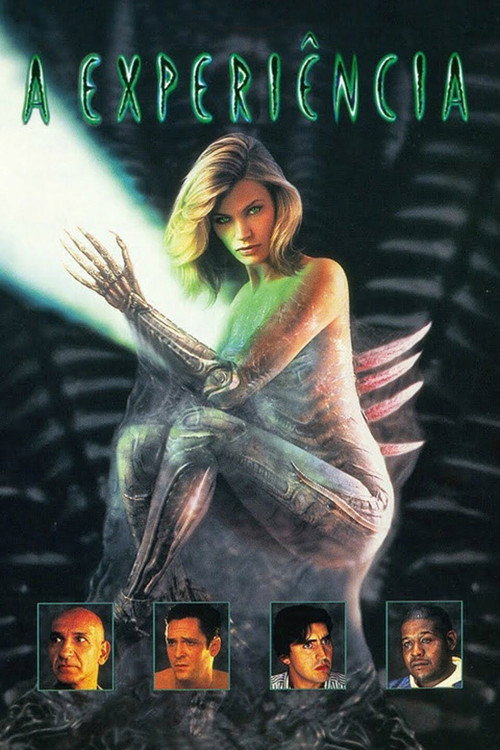 Assistir A Experiência