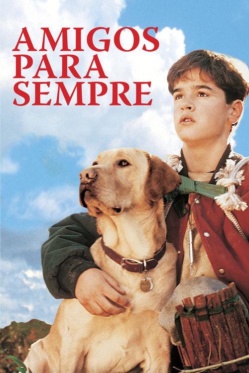Assistir Amigos para Sempre