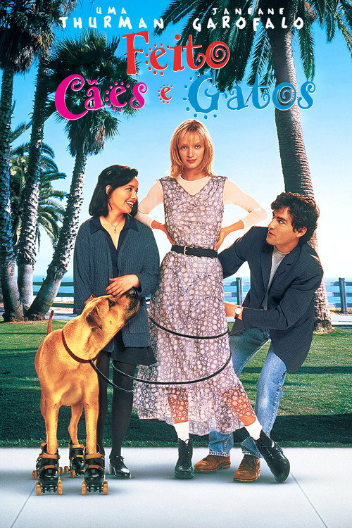Assistir Feito Cães e Gatos