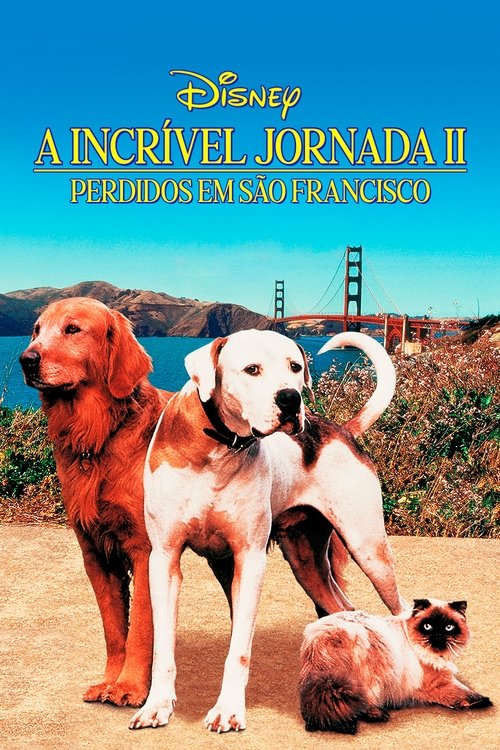 Assistir A Incrível Jornada II: Perdidos em São Francisco