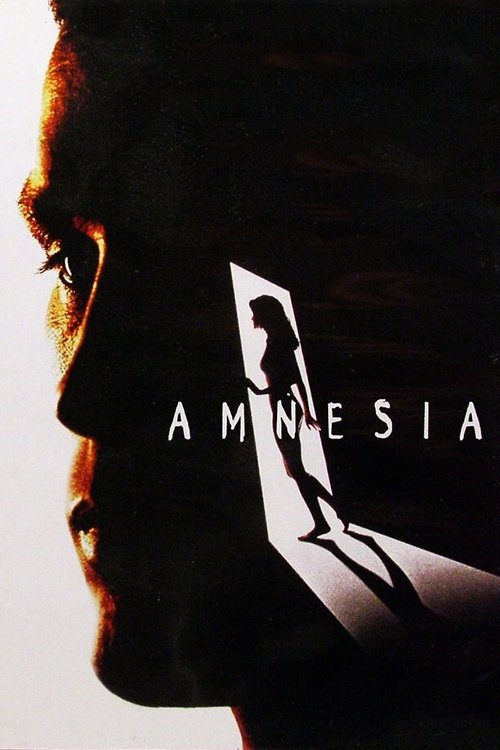 Assistir Amnésia