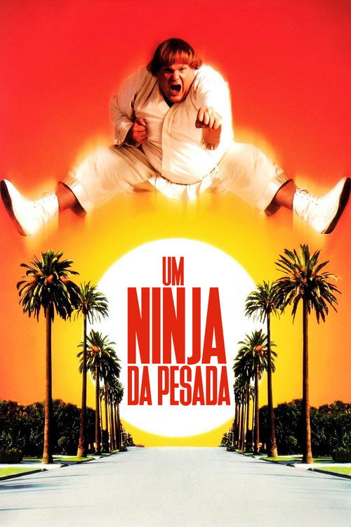 Assistir Um Ninja da Pesada