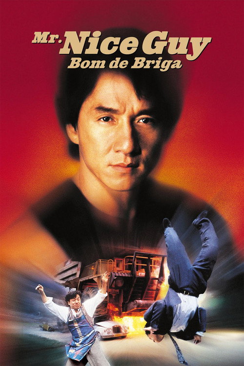 Assistir Mr. Nice Guy: Bom de Briga