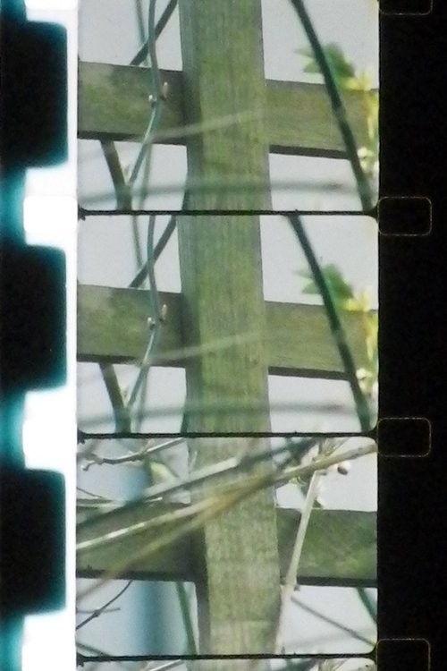 Assistir Matrix