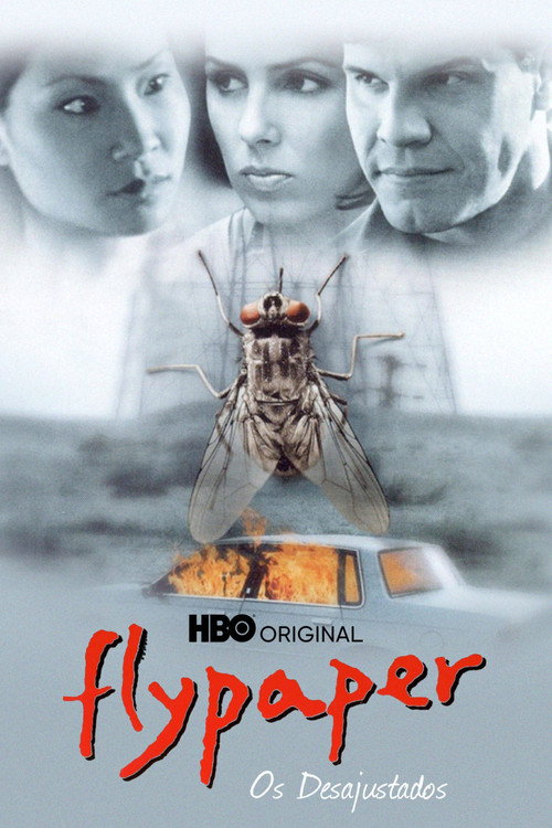 Assistir Flypaper - Os Desajustados