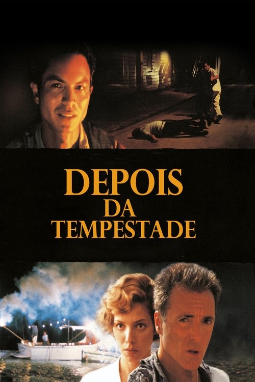 Assistir Depois da Tempestade