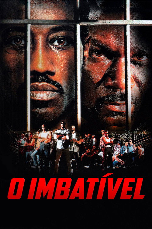 Assistir O Imbatível
