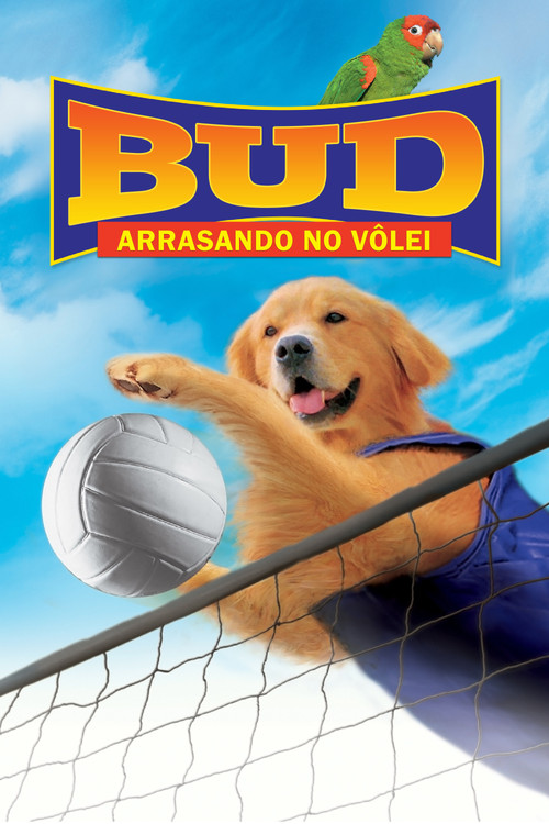 Assistir Bud 5: Arrasando no Vôlei!