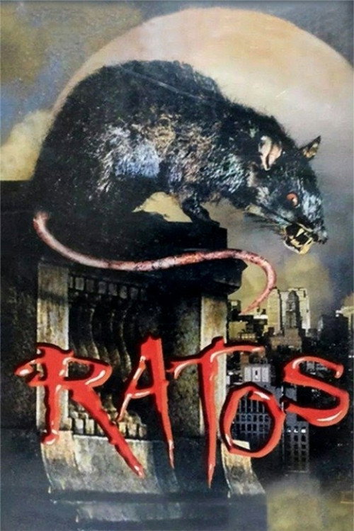 Assistir Ratos