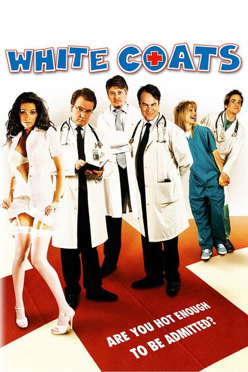 Assistir Os Estagiários