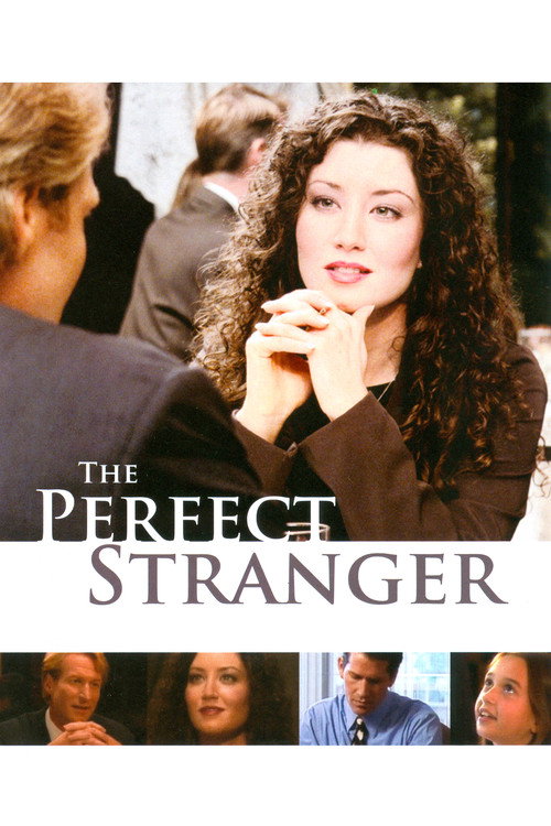 Assistir O Encontro Perfeito