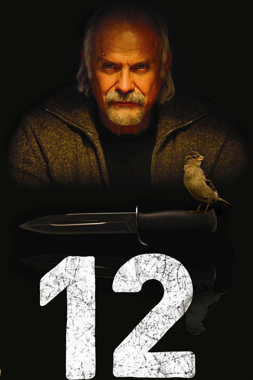 Assistir 12