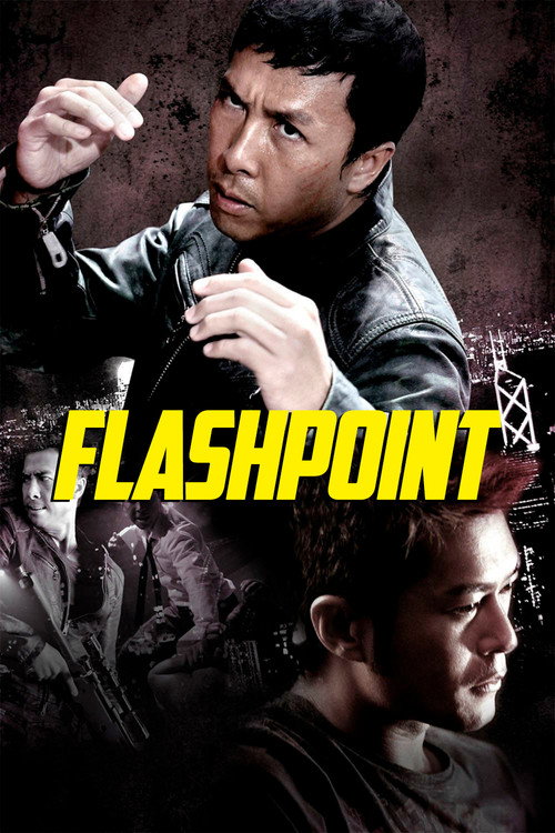 Assistir Flashpoint