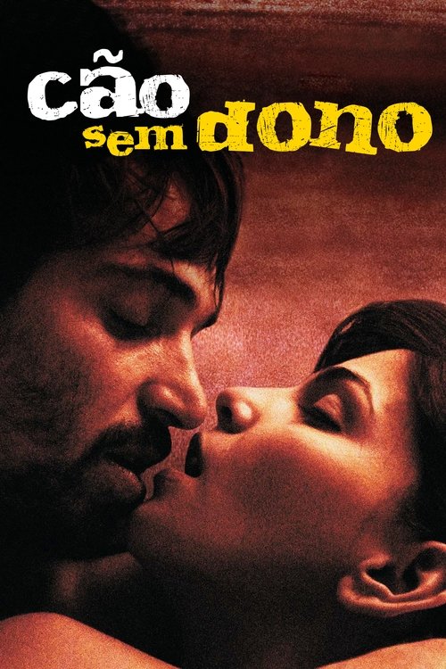 Assistir Cão Sem Dono