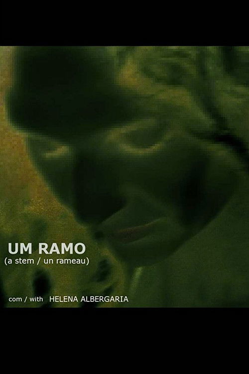 Assistir Um Ramo