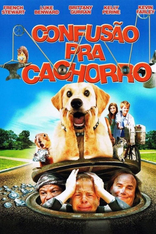 Assistir Confusão Pra Cachorro