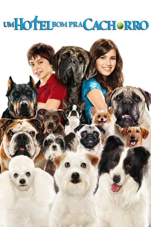 Assistir Um Hotel Bom pra Cachorro