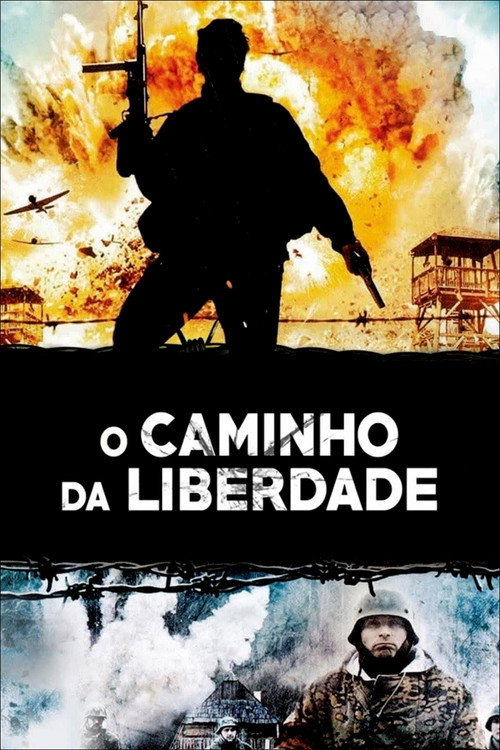 Assistir O Caminho da Liberdade