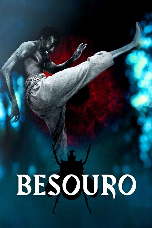 Assistir Besouro